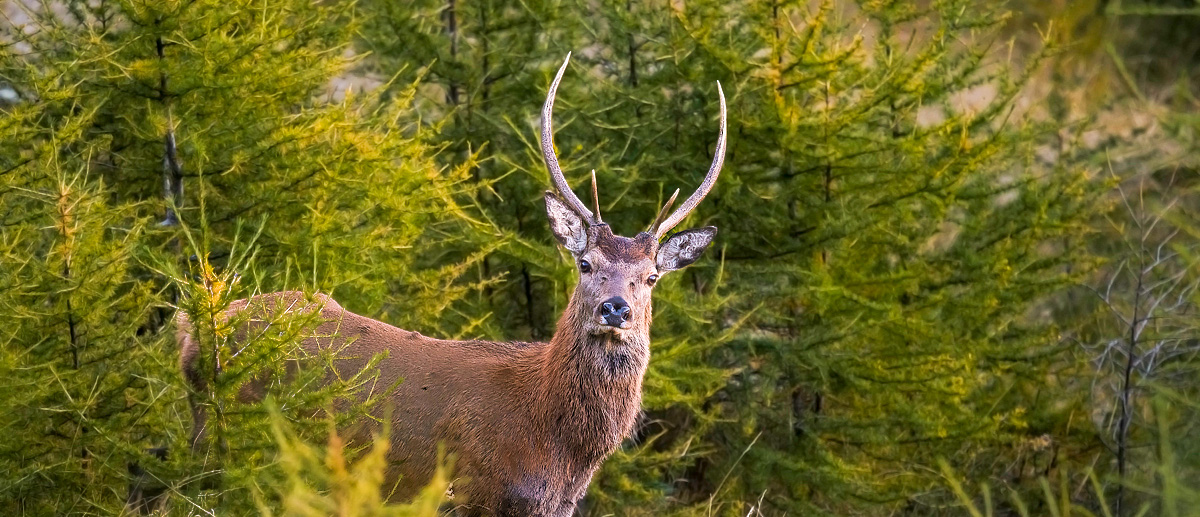 Conosci il Parco